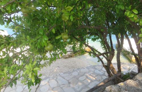 Kneza Apartamento | I&J Relaxing Beach Apartments