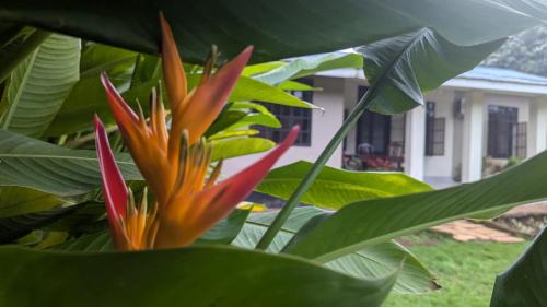 Moshi Casa | I LOVE AFRICA VILLAs