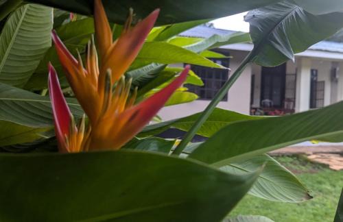Moshi Casa | I LOVE AFRICA VILLAs