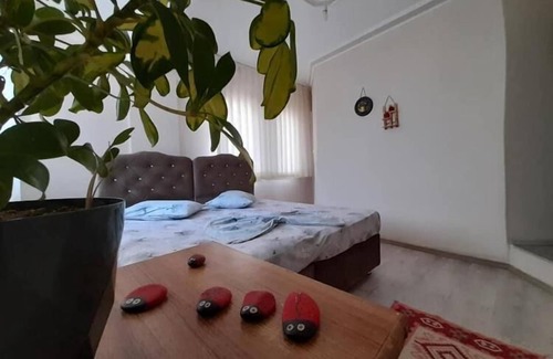 Cide Casa | İlyada Pansiyon