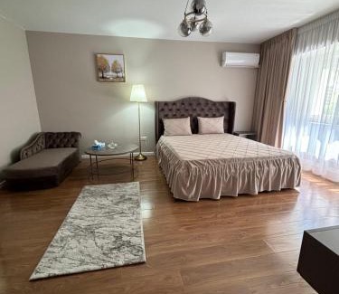 Braila Apartamento | Iancu