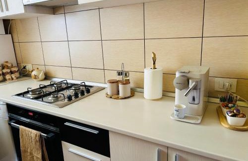 Orastie Apartamento | IANIS Apartment