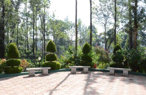 Madikeri Casa | Ibbanicadu Estate Homestay