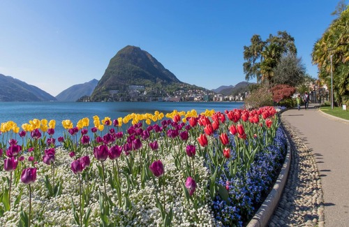 Lugano Apartamento | Icon H 501 Suite Business