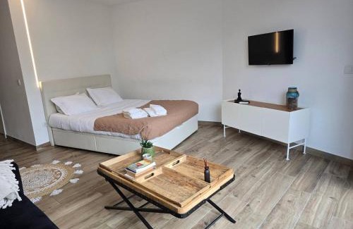 Aveiro Apartamento | iConik Design Apartments