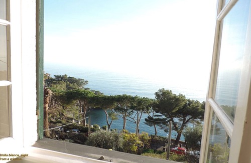 Pieve Ligure Apartamento | Apartamento para 4-5 personas frente al mar, con terraza, jardín y piscina