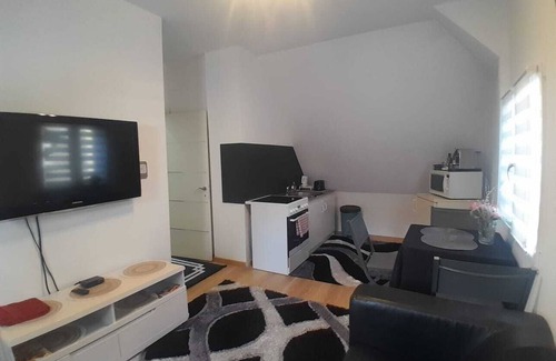 Sierentz Apartamento | Ideal for Airport Heaven Sierentz Apartment
