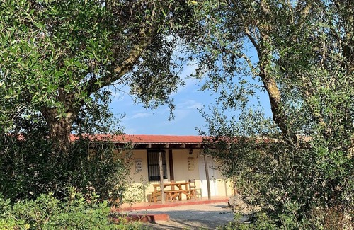 Medina-Sidonia Casa | Casa ideal con piscina, rodeados de naturaleza y 20mnt de la playa