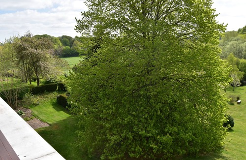 Gueby Apartamento | Idyllic apartment with garden view and balcony