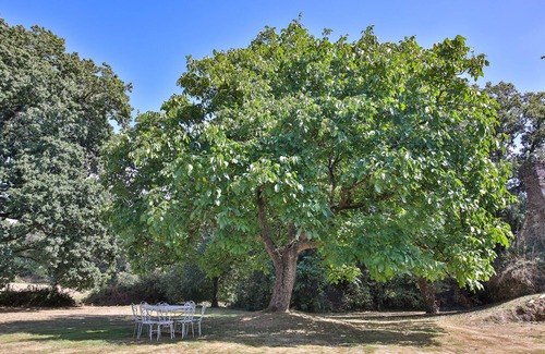 Pluvigner Casa | Idyllic Breton Countryside 5-Bed Farmhouse
