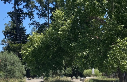 Vichy Springs Casa | Retiro 4BD Napa Valley Family
