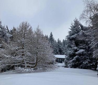 Langer Berg Casa | Idyllisches Ferienhaus am Wald