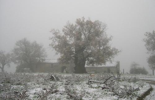 Viggiano Apartamento | Il Castelluccio