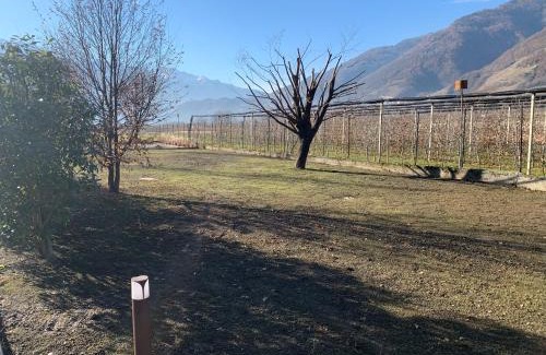 Villa di Tirano Apartamento | IL COMO' DELLA CIVETTA - Nido della Civetta