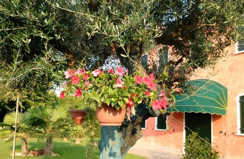 Giarre Cama Y Desayuno | Il Farfasole