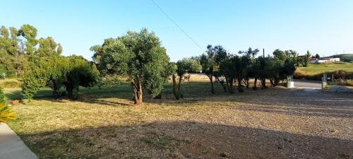 Florinas Cama Y Desayuno | Il giardino del Sole