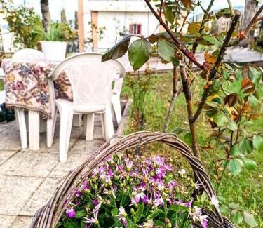 Avezzano Casa | Il giardino delle rose