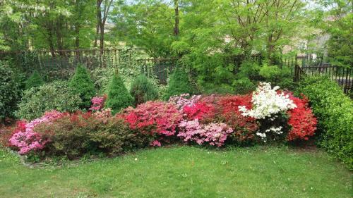 Colico Piano Apartamento | Il Giardino
