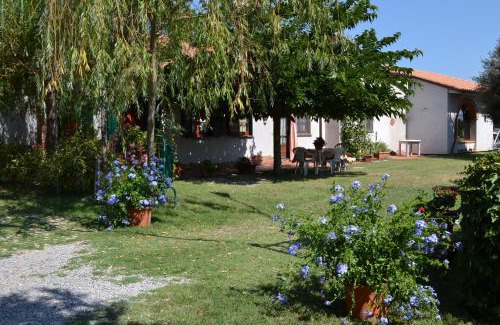 Paciano Casa | Il Granaio Grande