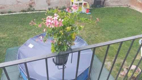 Grana Casa | Il Granotto Grana Monferrato