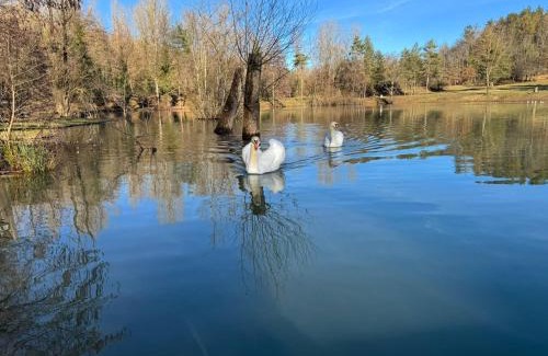 Chiusi della Verna Otro | Il Lago dei Cigni - Glamping & Restaurant
