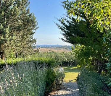 Siena Casa | Il Lavandeto - farmhouse in the city