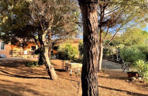 San Vero Milis Casa | Il Lentischio del Sinis