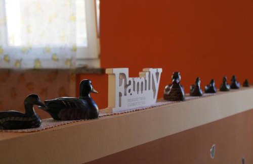 Arona Casa | Il Mondo di Dedo