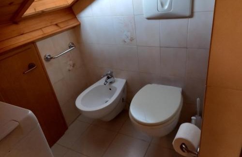 Primiero San Martino di Castrozza Apartamento | il Nido