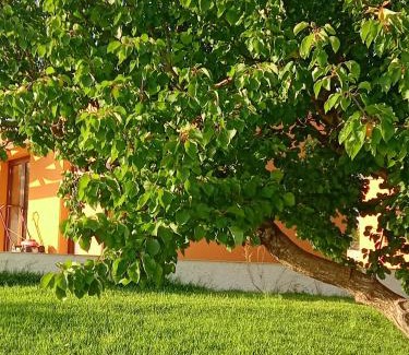 Noto Chalet De Esquí | Il Poggetto Marzamemi - Le Villette