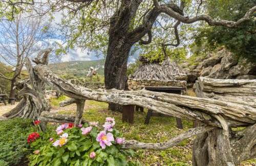 Baunei Casa | Il Rifugio