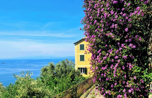 Pieve Ligure Apartamento | Il Sogno del Capitano
