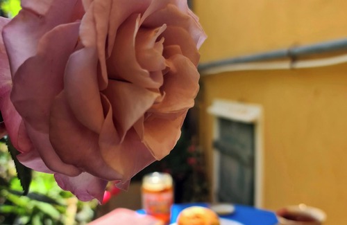 Pieve Ligure Apartamento | Il Sogno del Capitano