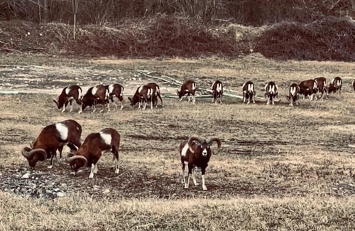 Cassano Valcuvia Otro | Il talismano az agricola