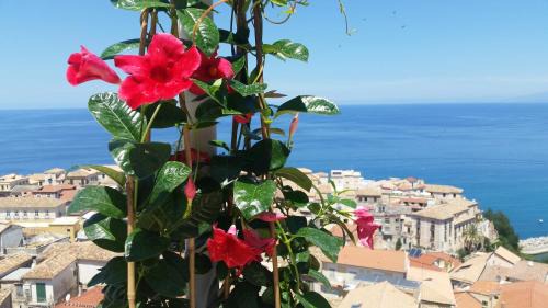 Pizzo Apartamento | Il Terrazzo su Pizzo