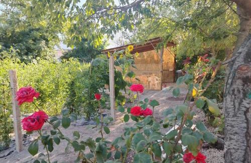 Luco dei Marsi Cama Y Desayuno | Il Vecchio Casale