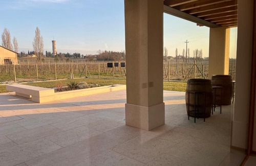 San Benedetto di Lugana Cama Y Desayuno | Il Vigneto