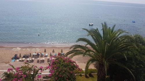 Aipeia Apartamento | Ilaira Apartments