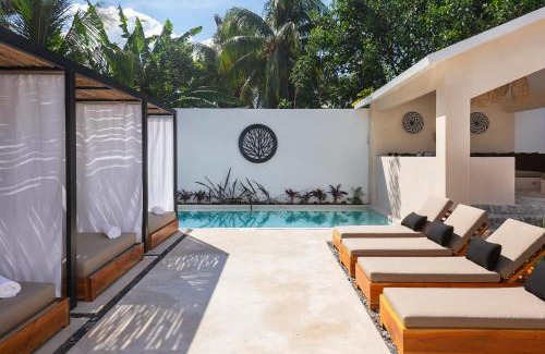 Colonia Centro Hotel | Illa Cozumel