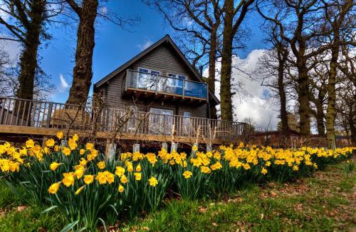 Kenwick Casa | iLodge Ultra