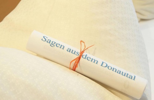 Esternberg Cama Y Desayuno | Ilz 1, double room shower/WC - Gästehaus Donautal - Donausteig and bett+bike