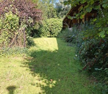 Hausen Apartamento | Im Grünen 2
