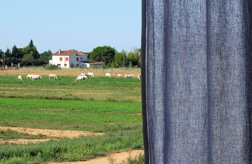 Arles Apartamento | IN AN OLD PROVENCAL FARMHOUSE-APARTMENT IN A PEACEFUL SETTING-VIEWS OVER THE COUNTRYSIDE-