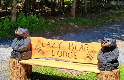 Stroudsburg Cabina | In-Ground Heated Pool, Hot tub, Fire pit, Secluded