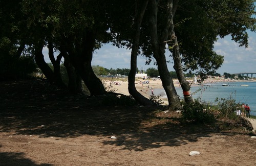Rivedoux-Plage Casa | In nature 200 metres from the sea