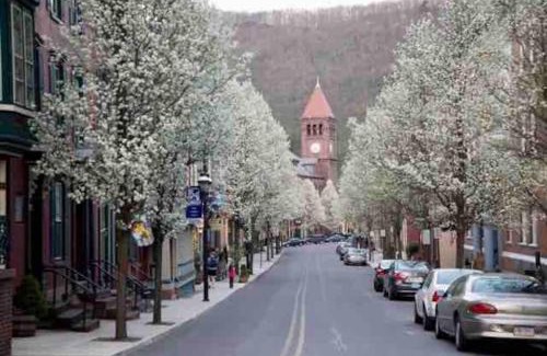 Ashfield Apartamento | In The Heart Of Jim Thorpe (with your own parking)