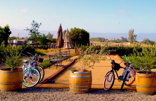 Solvang Cabaña | ¡En el corazón de Los Olivos, país de vinos de lujo, en nuestro viñedo!