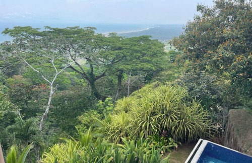 Tarcoles Apartamento | In the Heart of Nature