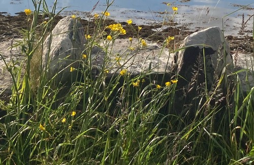 Renvyle Casa | In the heart of paradise along the wild atlantic way