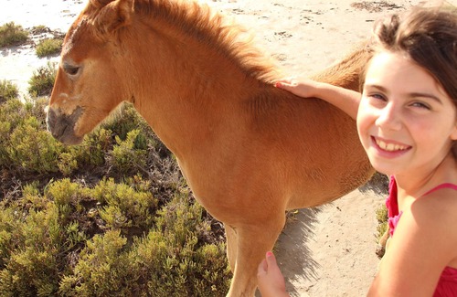 Arles Cabaña | En el corazón de un parque natural de Camargue Mas con manadas de caballos y toros